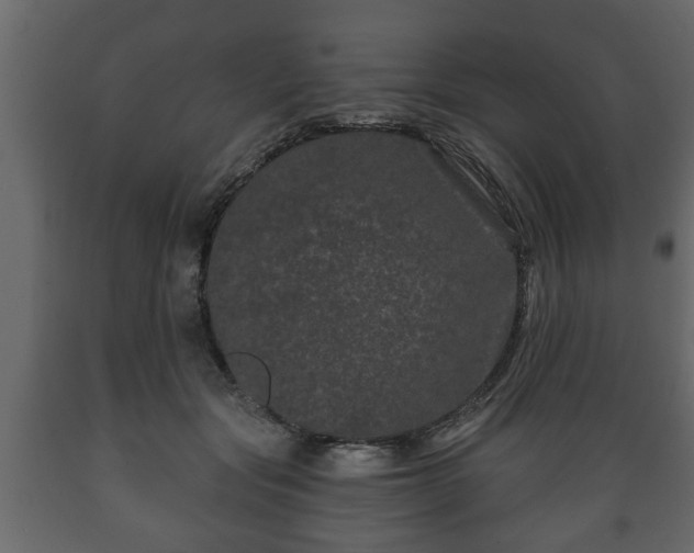 X0000089910557200707061001