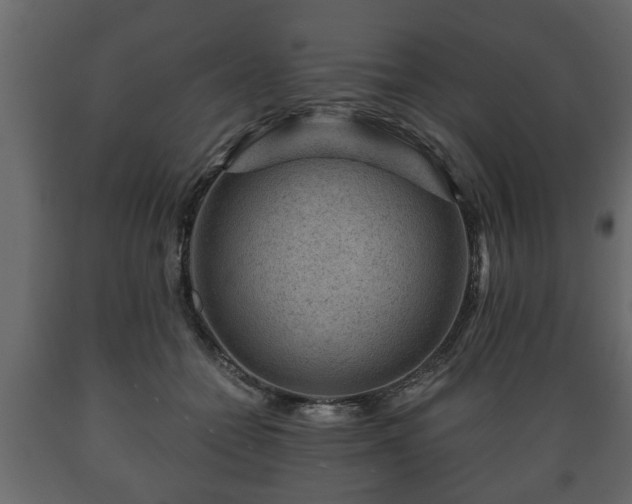 X0000089910558200707061001