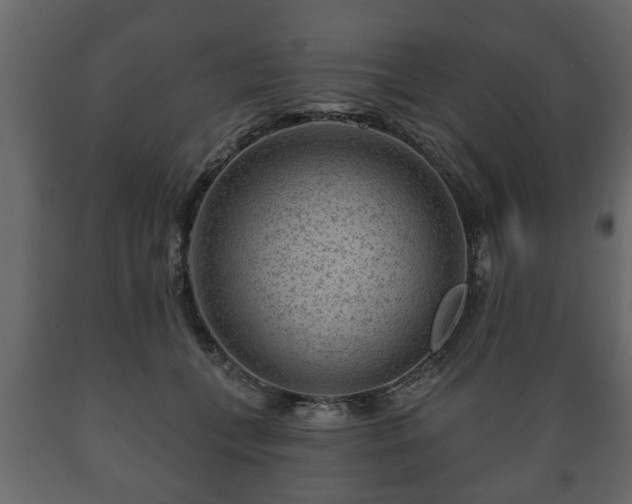 X0000089910559200707061001