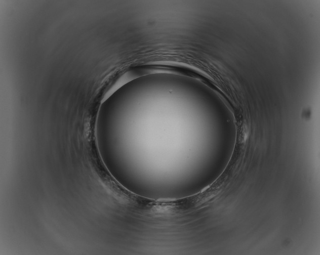 X0000089910560200707061001