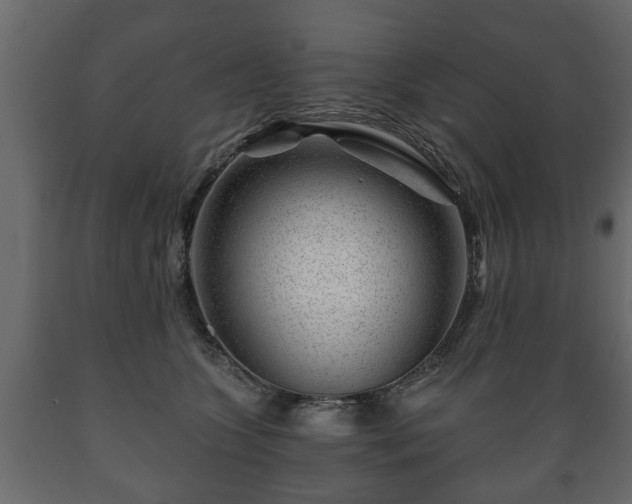 X0000089910563200707061001