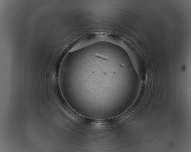 X0000089910564200707061001