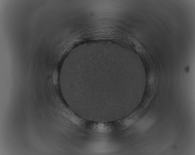 X0000089910565200707061001
