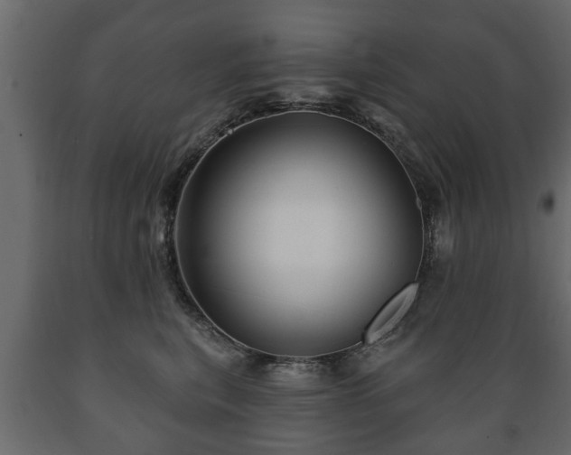 X0000089910567200707061001