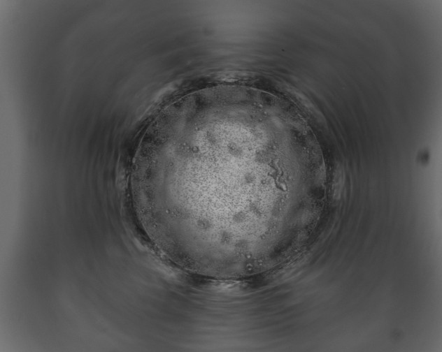 X0000089910569200707061001