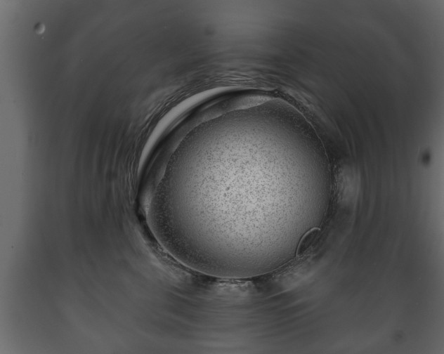 X0000089910571200707061001