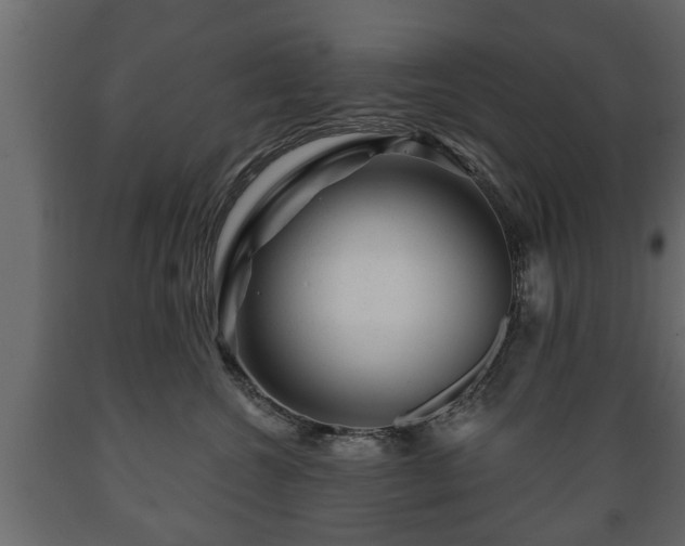 X0000089910572200707061001
