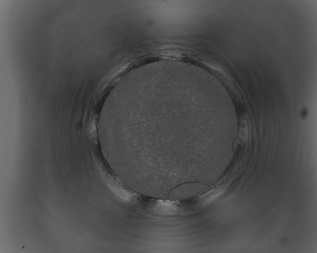 X0000089910573200707061001