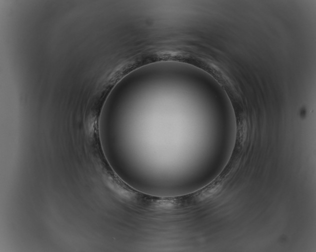X0000089910574200707061001