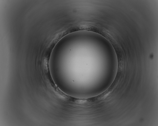 X0000089910575200707061001