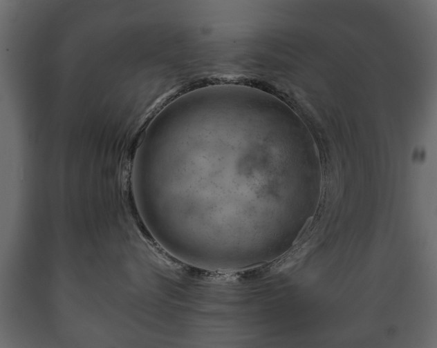 X0000089910576200707061001