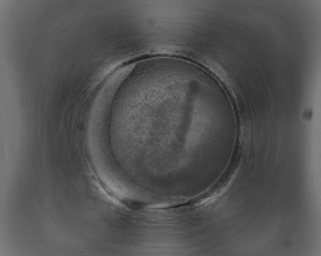 X0000089910577200707061001
