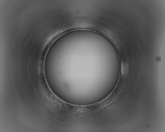 X0000089910579200707061001