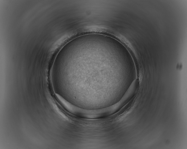 X0000089910581200707061001
