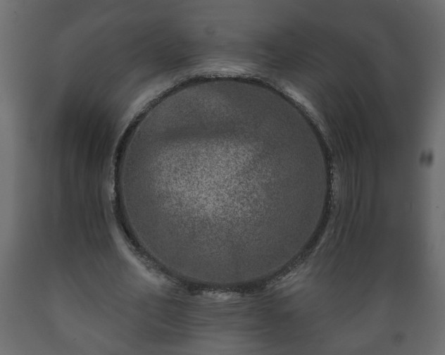 X0000089910582200707061001