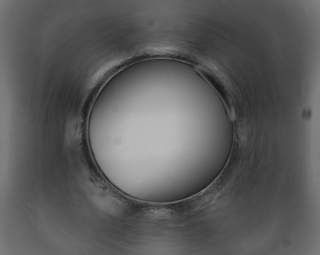 X0000089910583200707061001