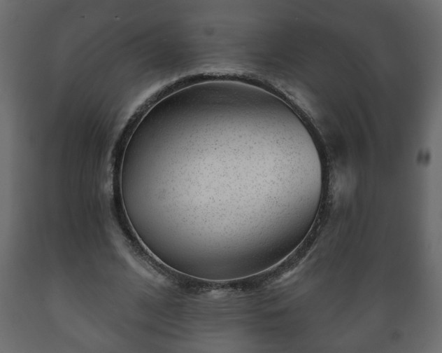 X0000089910584200707061001