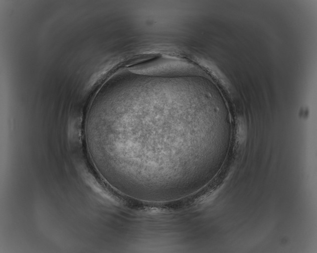 X0000089910585200707061001