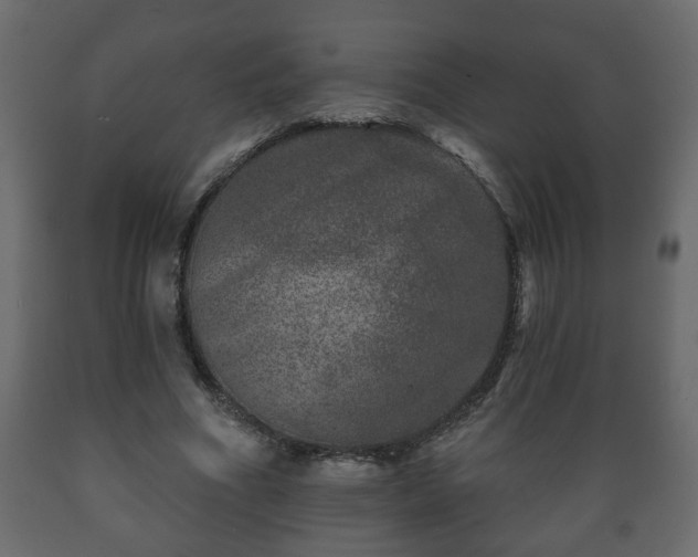 X0000089910586200707061001
