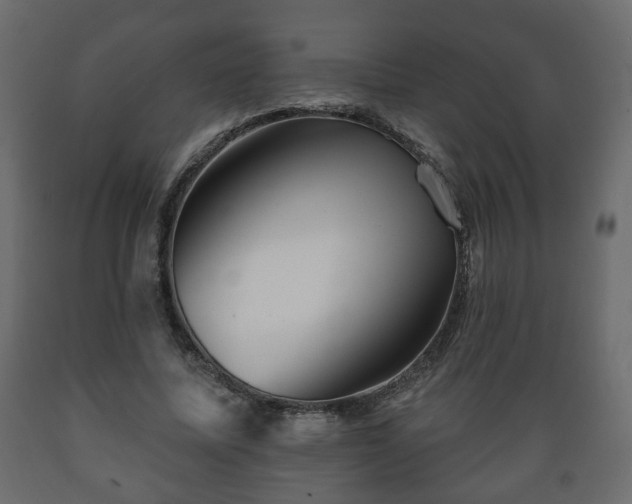 X0000089910587200707061001
