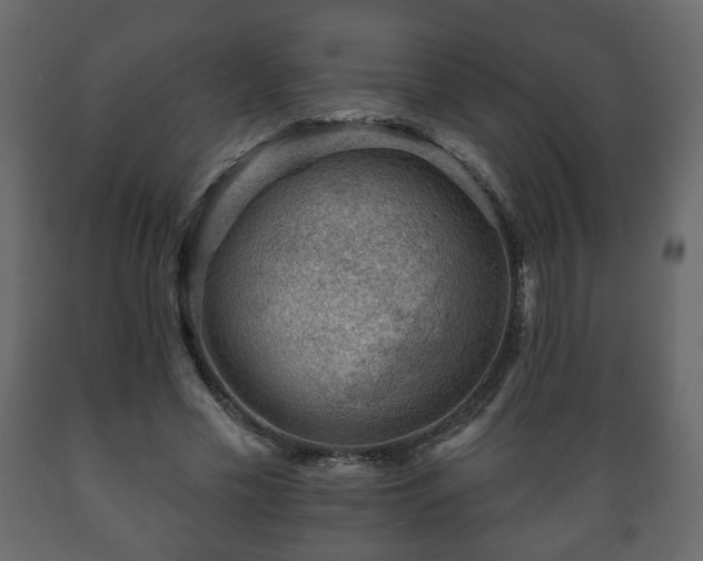 X0000089910589200707061000