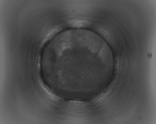 X0000089910590200707061000