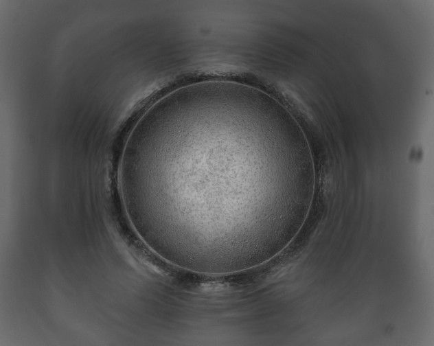 X0000089910591200707061000