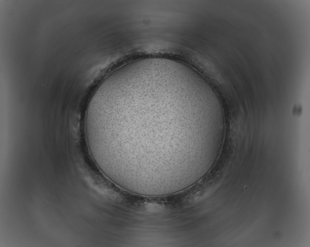 X0000089910592200707061000