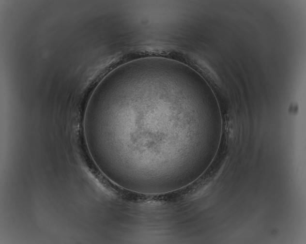 X0000089910593200707061000