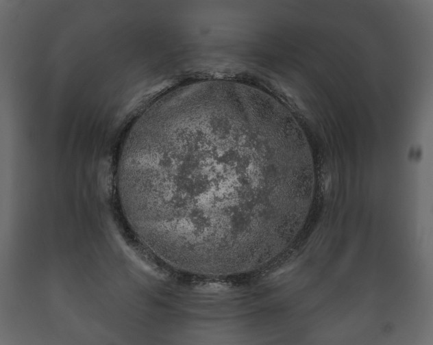 X0000089910594200707061000