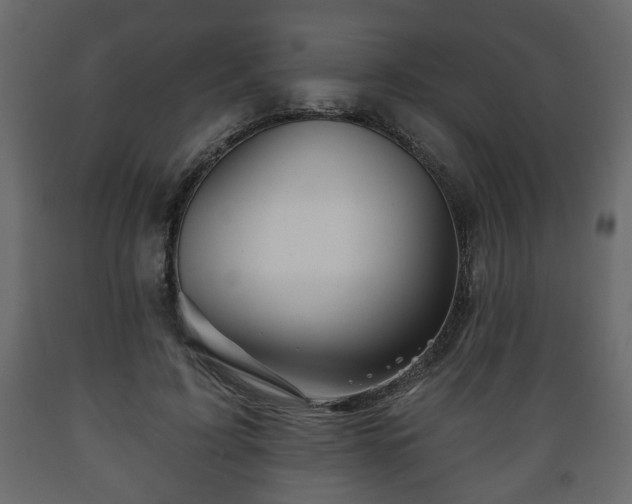 X0000089910595200707061000