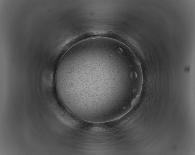 X0000089910596200707061000