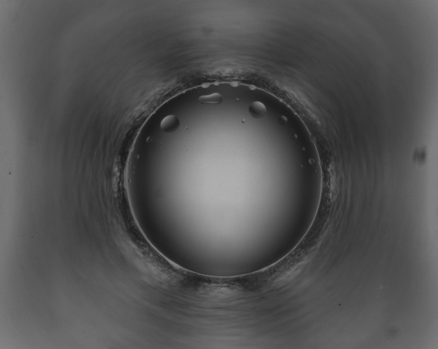 X0000089910597200707061000