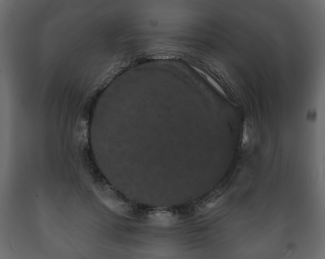 X0000089910598200707061000
