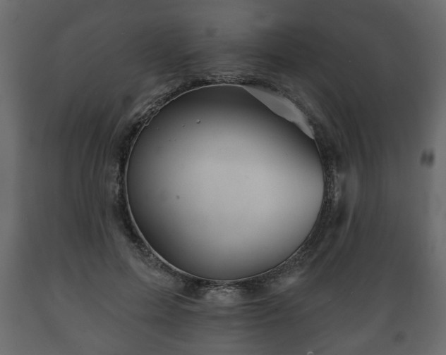 X0000089910599200707061000