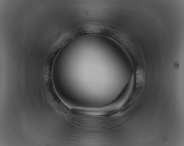 X0000089910600200707061000