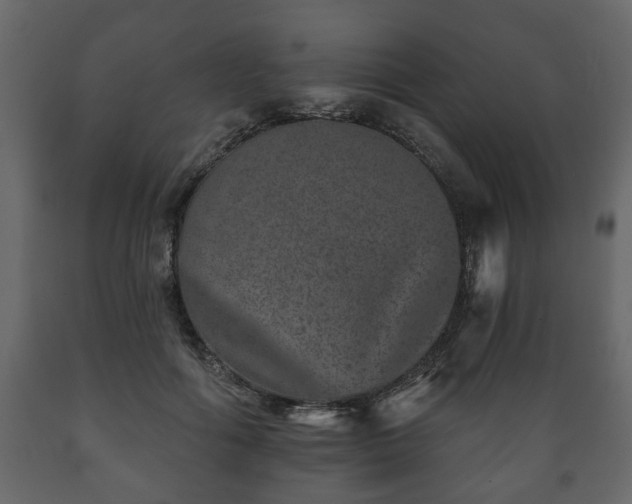 X0000089910602200707061000