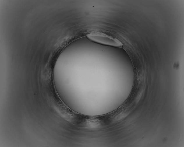 X0000089910603200707061000