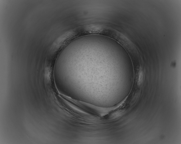 X0000089910604200707061000