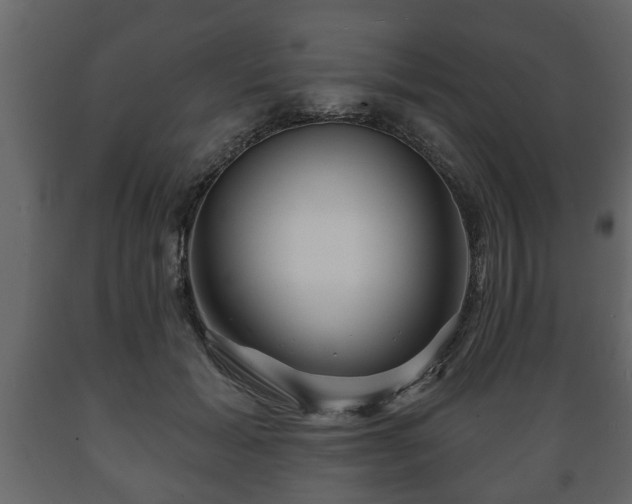 X0000089910605200707061000