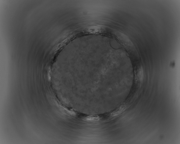 X0000089910606200707061000