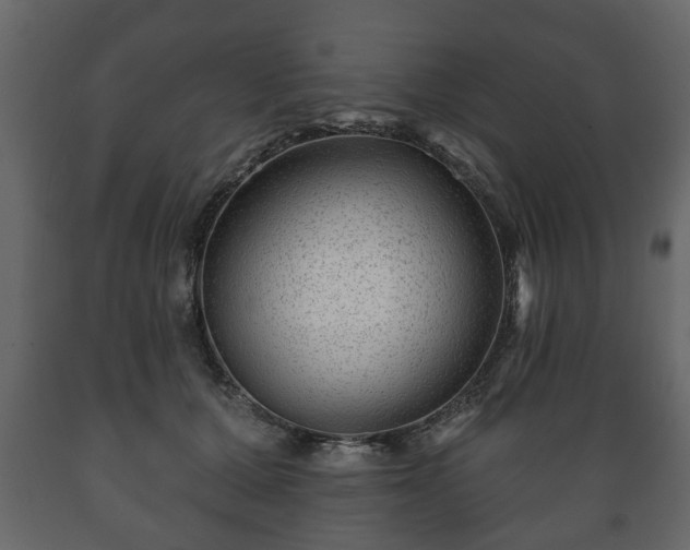 X0000089910607200707061000