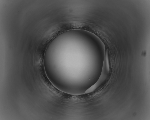X0000089910608200707061000