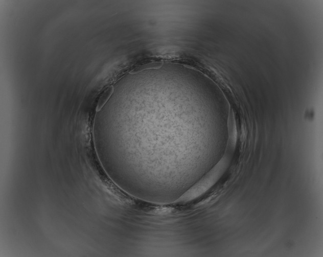 X0000089910609200707061000