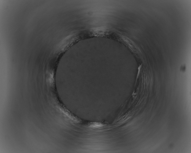 X0000089910610200707061000