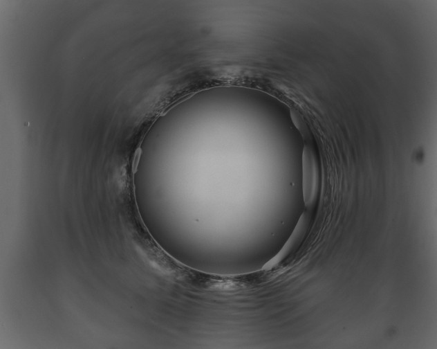 X0000089910611200707061000