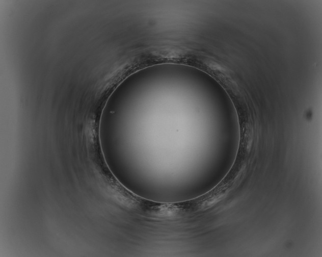 X0000089910612200707061000