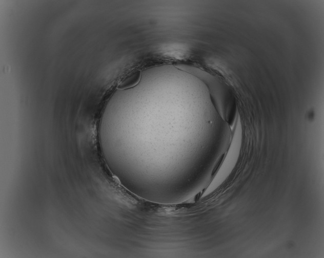 X0000089910613200707061000