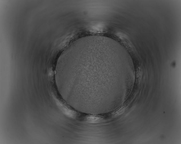 X0000089910614200707061000