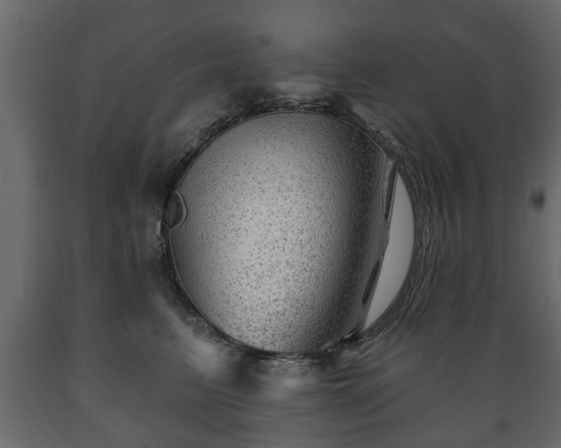 X0000089910615200707061000